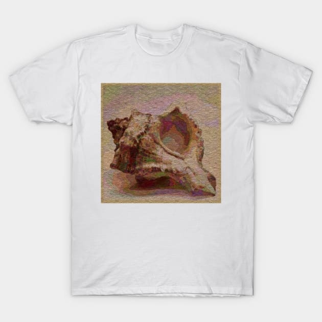 Conch Shell T-Shirt by DANAROPER